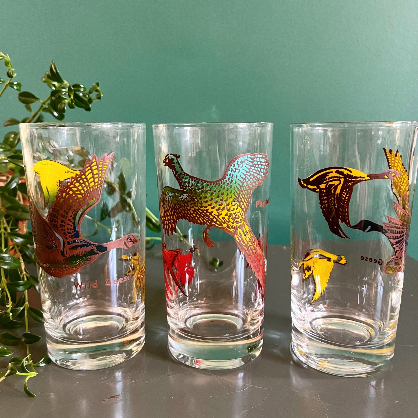 Set of 6 glass tumblers with colorful bird imagery