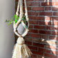 Large yarn macramé plant hanger - No Kill Vintage