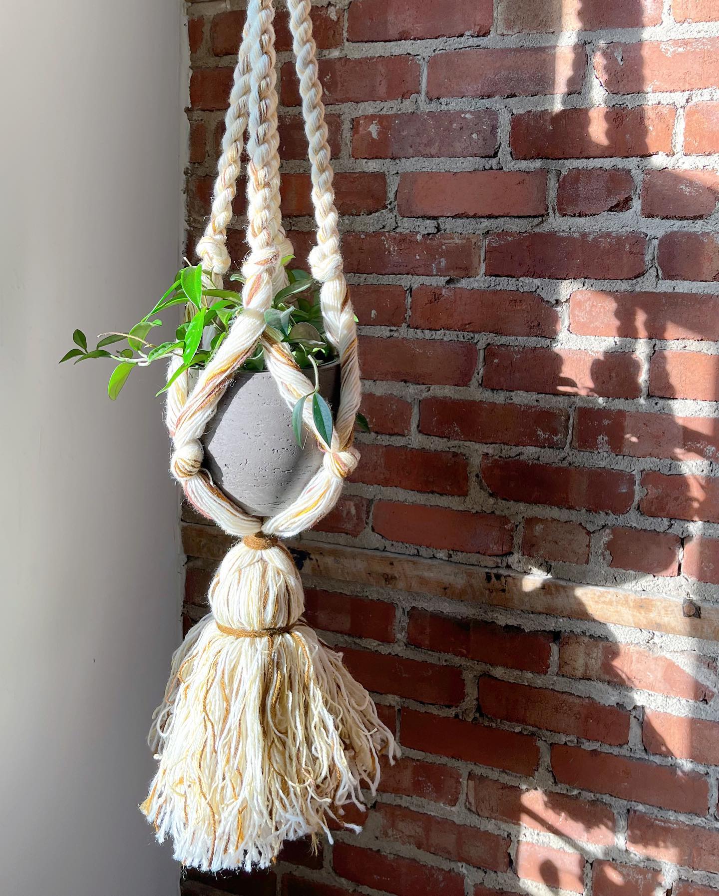 Large yarn macramé plant hanger - No Kill Vintage