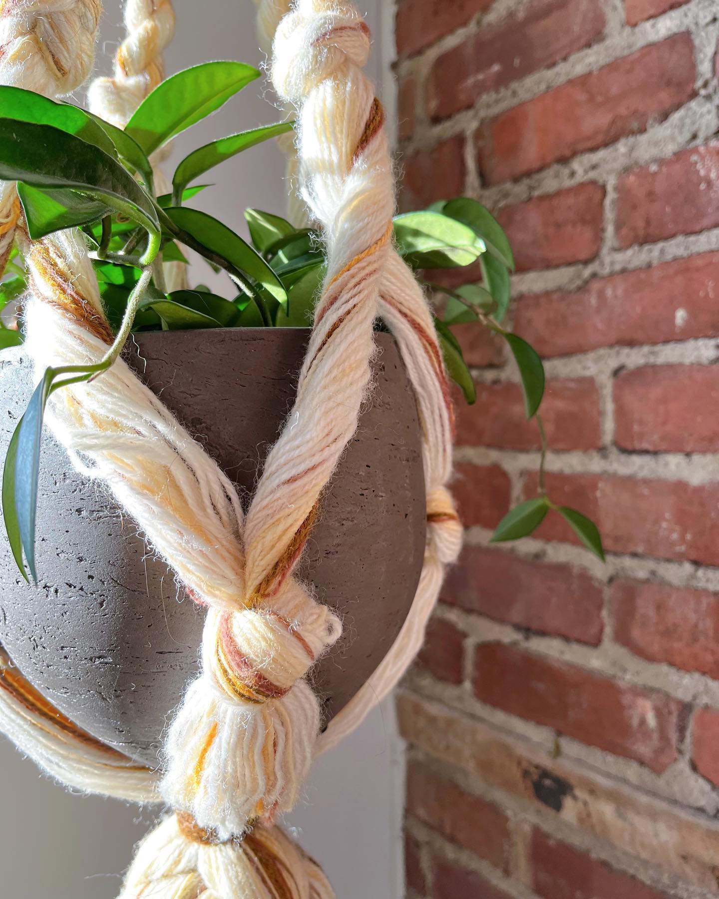 Large yarn macramé plant hanger - No Kill Vintage