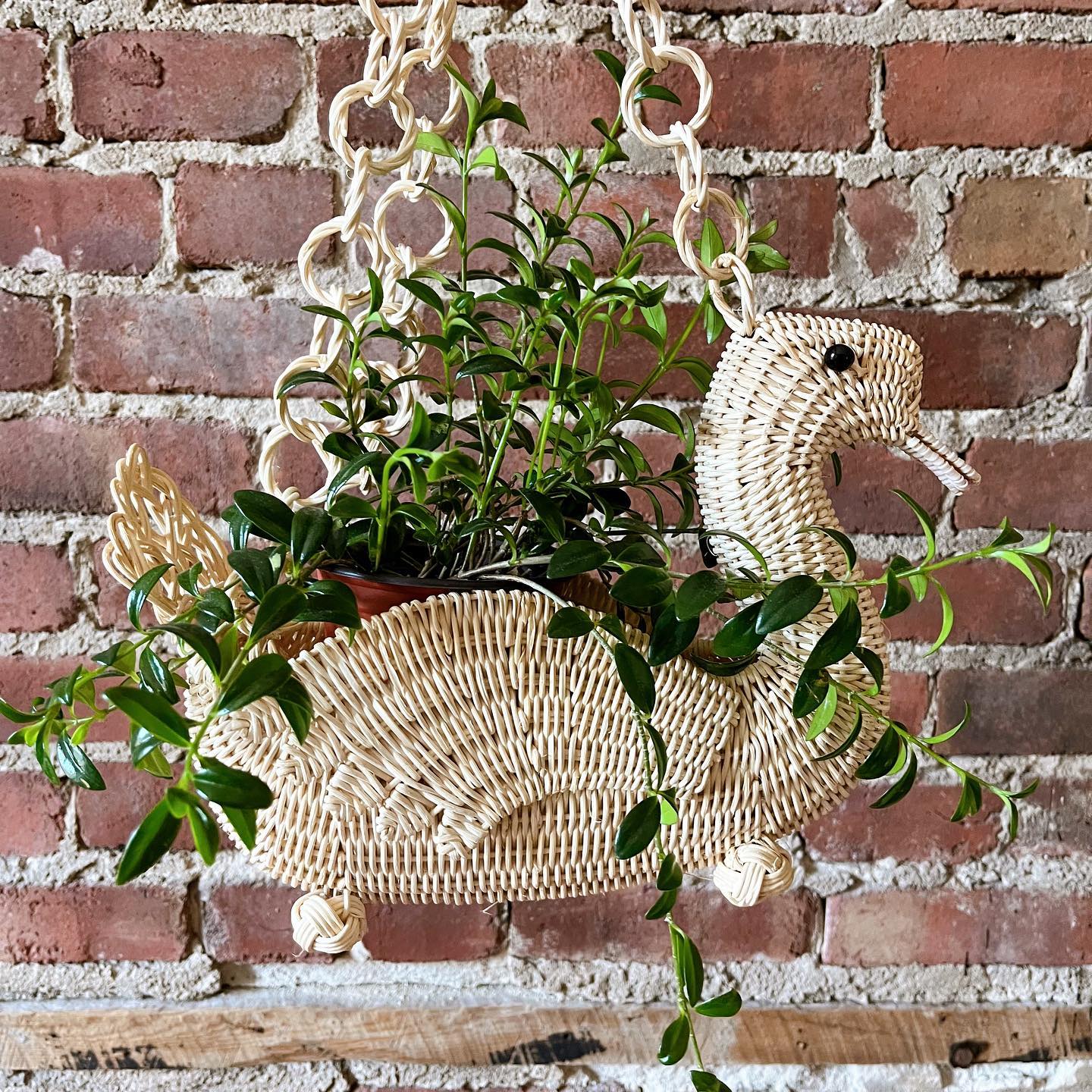 Wicker hanging duck plant holder - No Kill Vintage