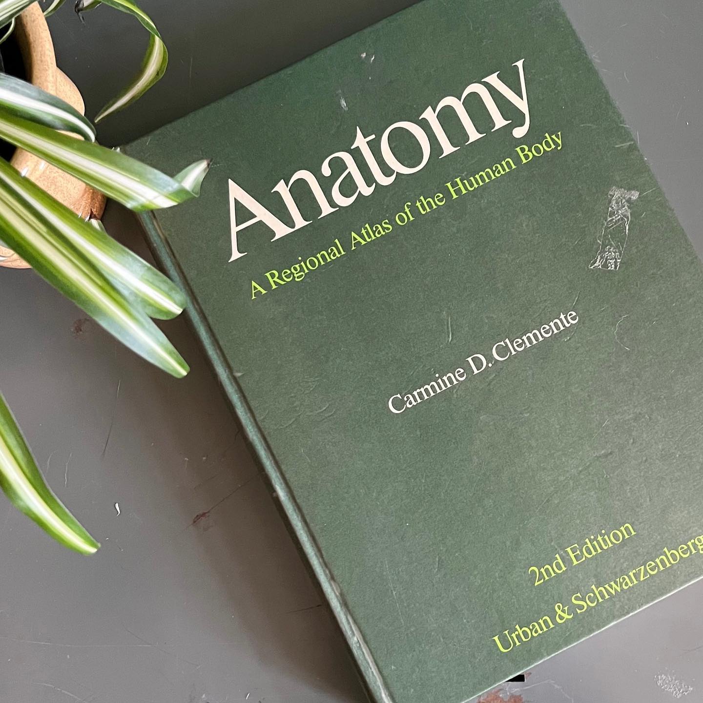 "Anatomy: A Regional Atlas of the Human Body" hardcover book (1984) - No Kill Vintage