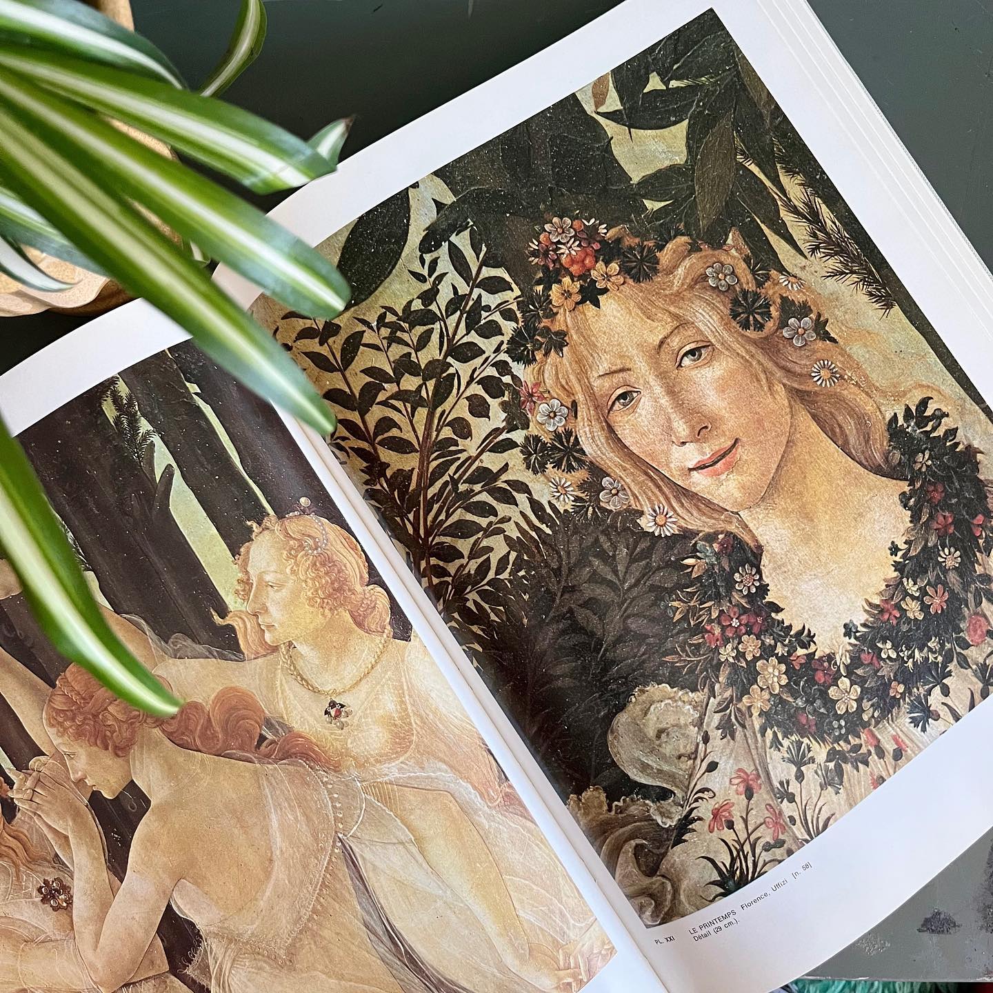 "Tout l'oeuvre peint de Botticelli" art book (1968) - No Kill Vintage