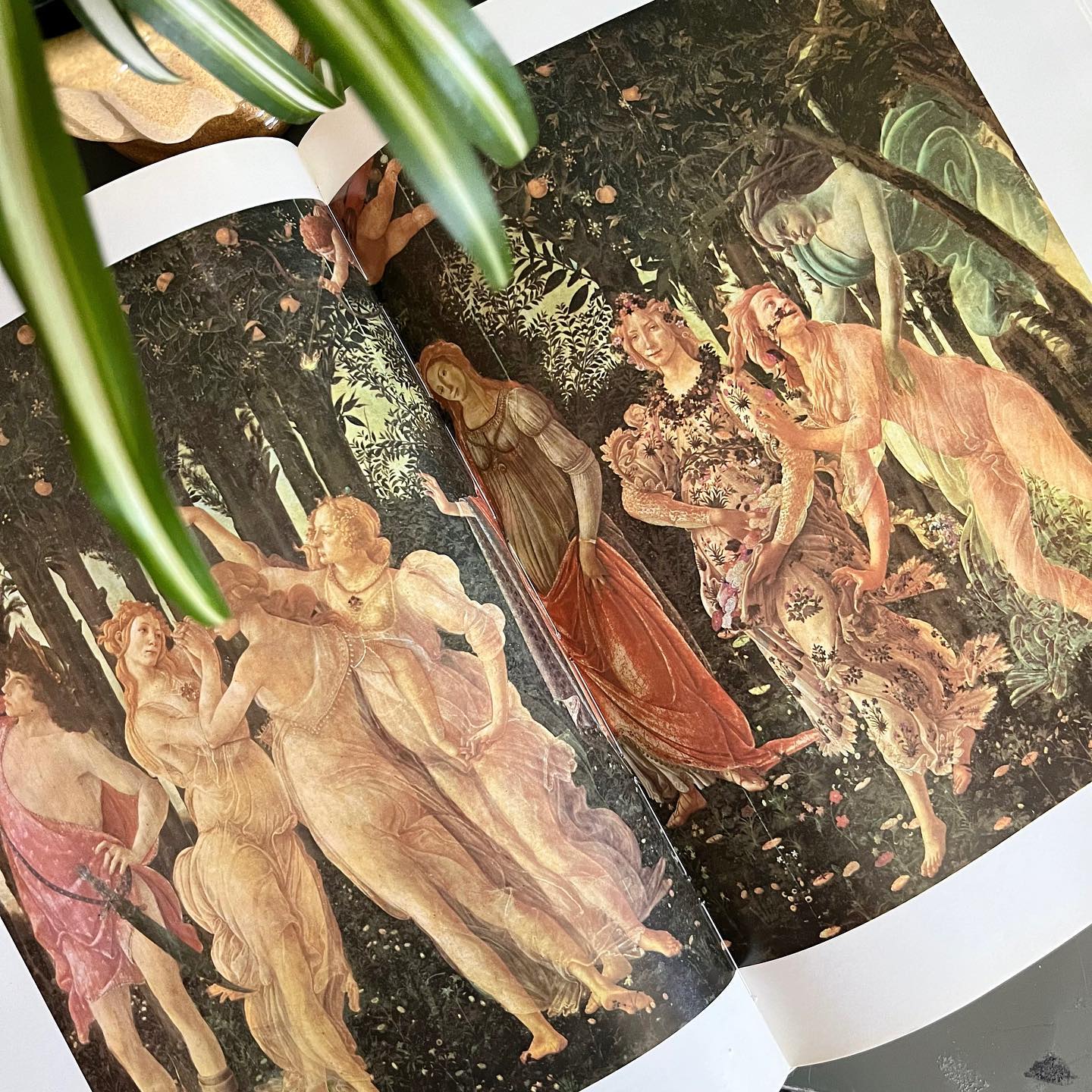 "Tout l'oeuvre peint de Botticelli" art book (1968) - No Kill Vintage