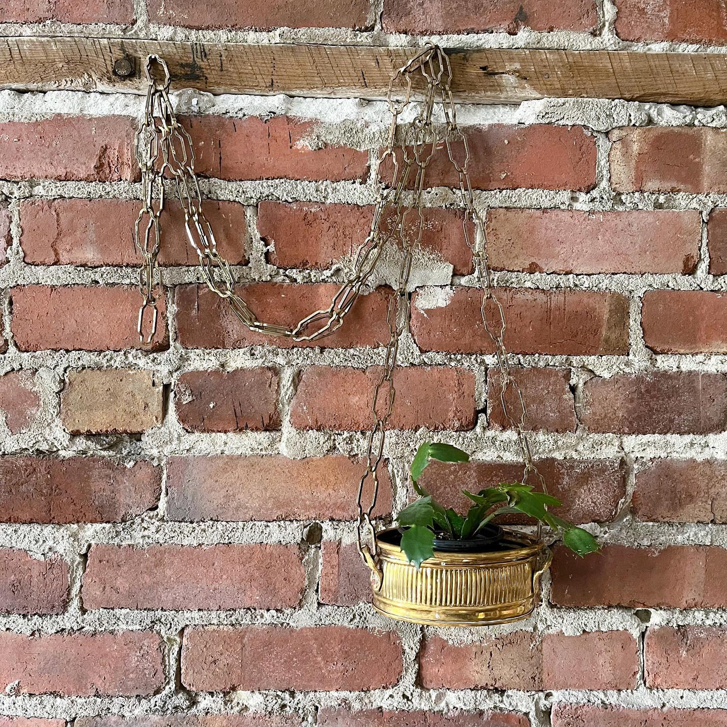 Brass hanging basket - No Kill Vintage