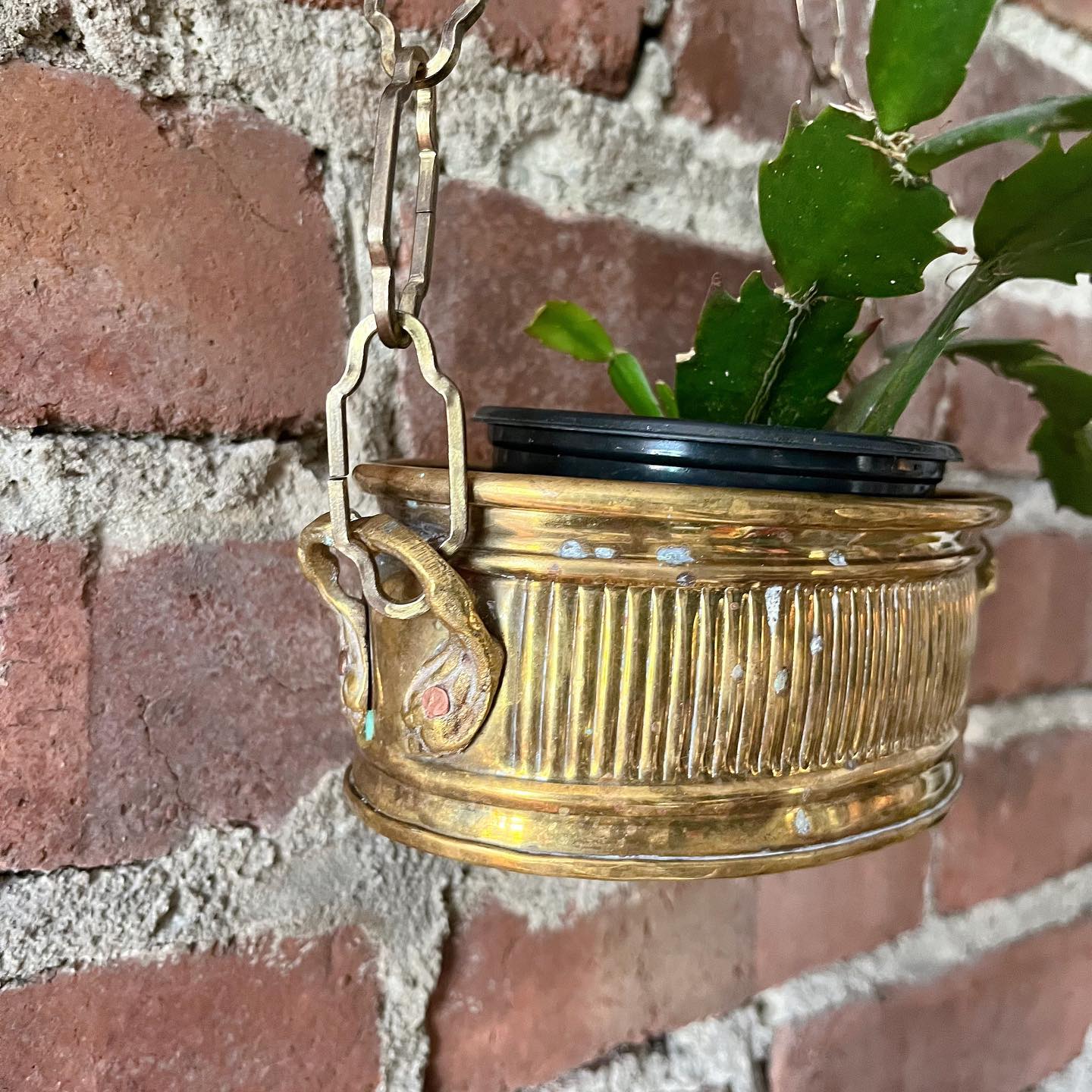 Brass hanging basket - No Kill Vintage