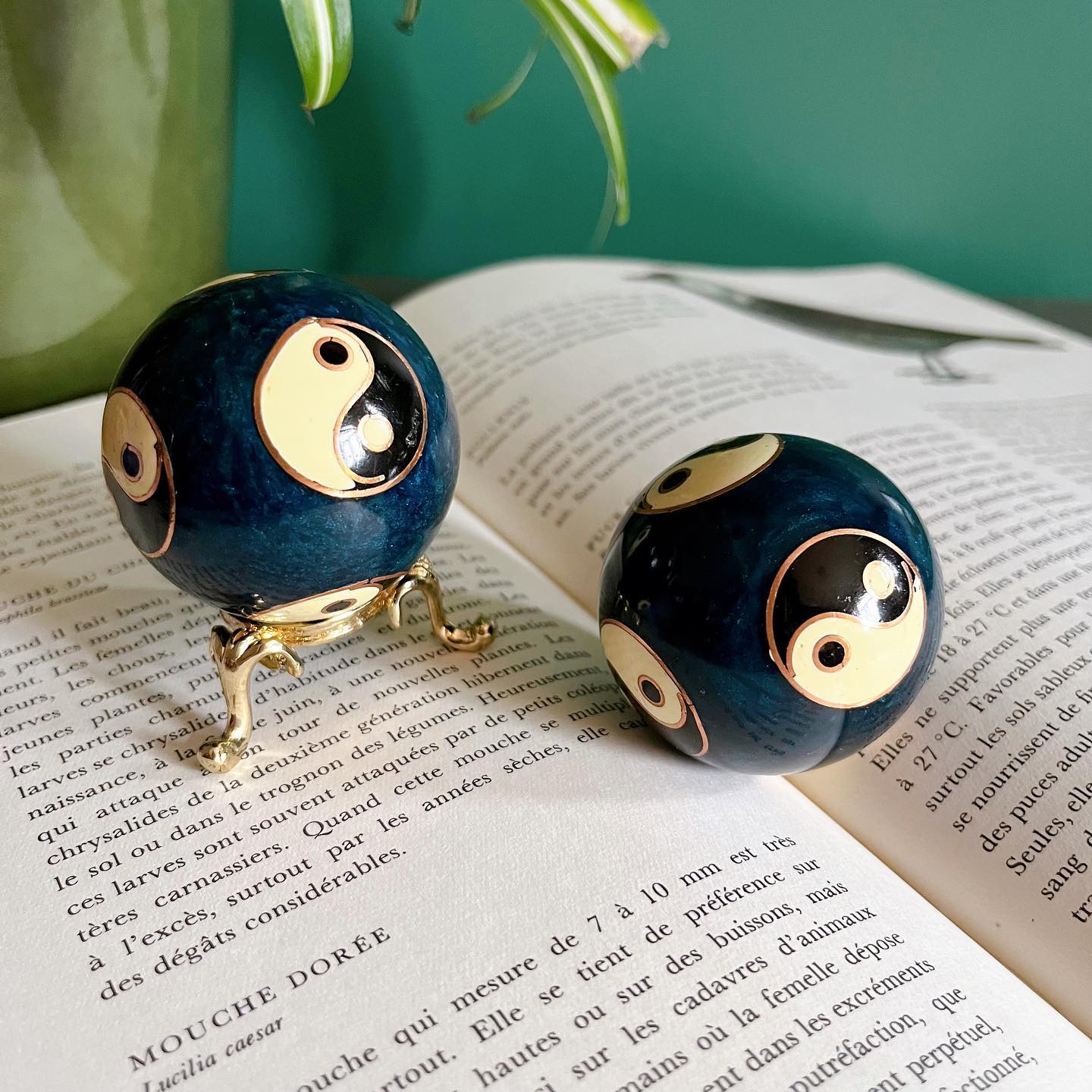 Set of yin yang Baoding balls - No Kill Vintage