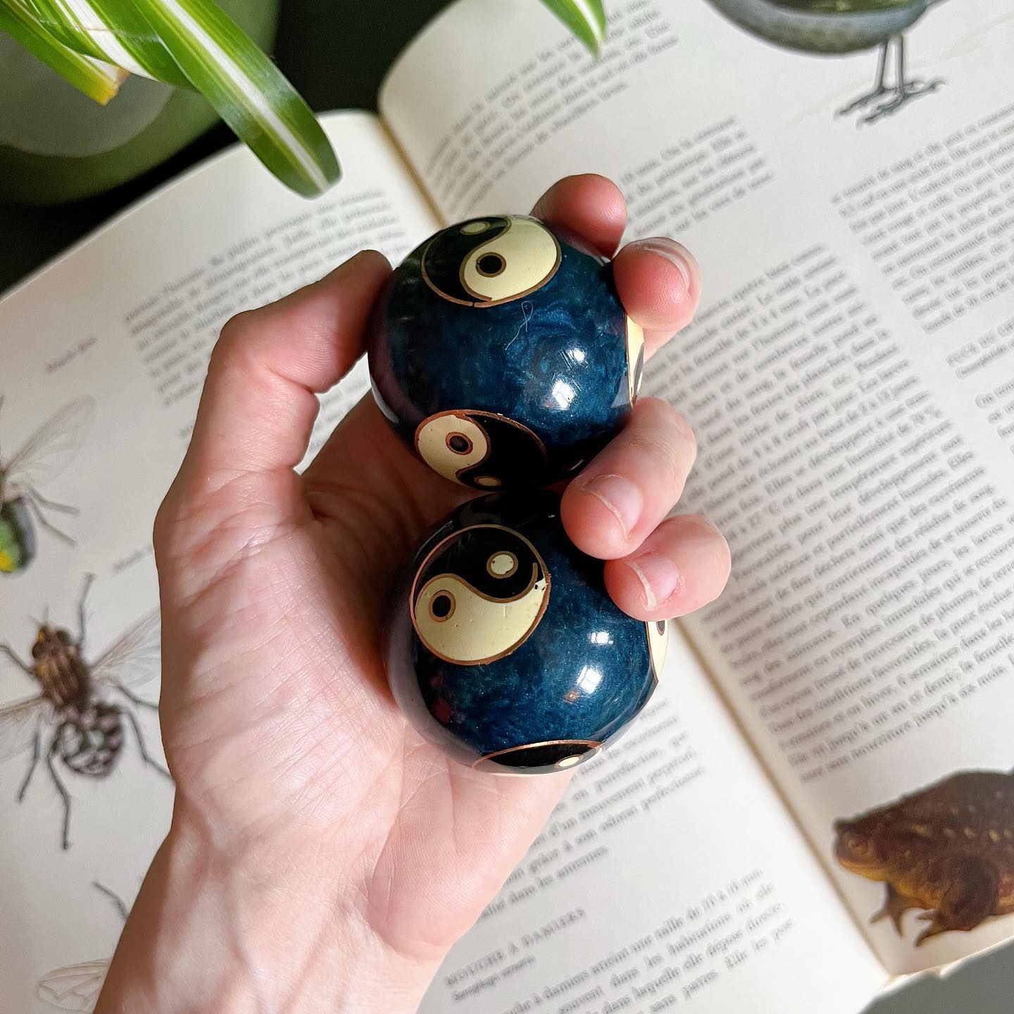 Set of yin yang Baoding balls - No Kill Vintage