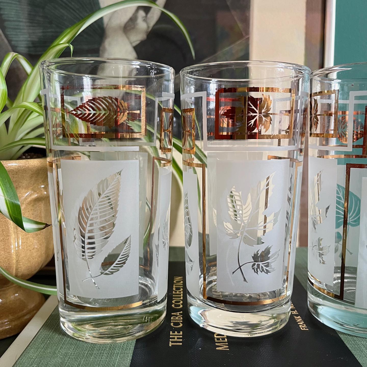 Verres highball avec feuilles en verre dépoli et doré, fait par Dominion Glass