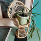 Mini rattan peacock chair - No Kill Vintage