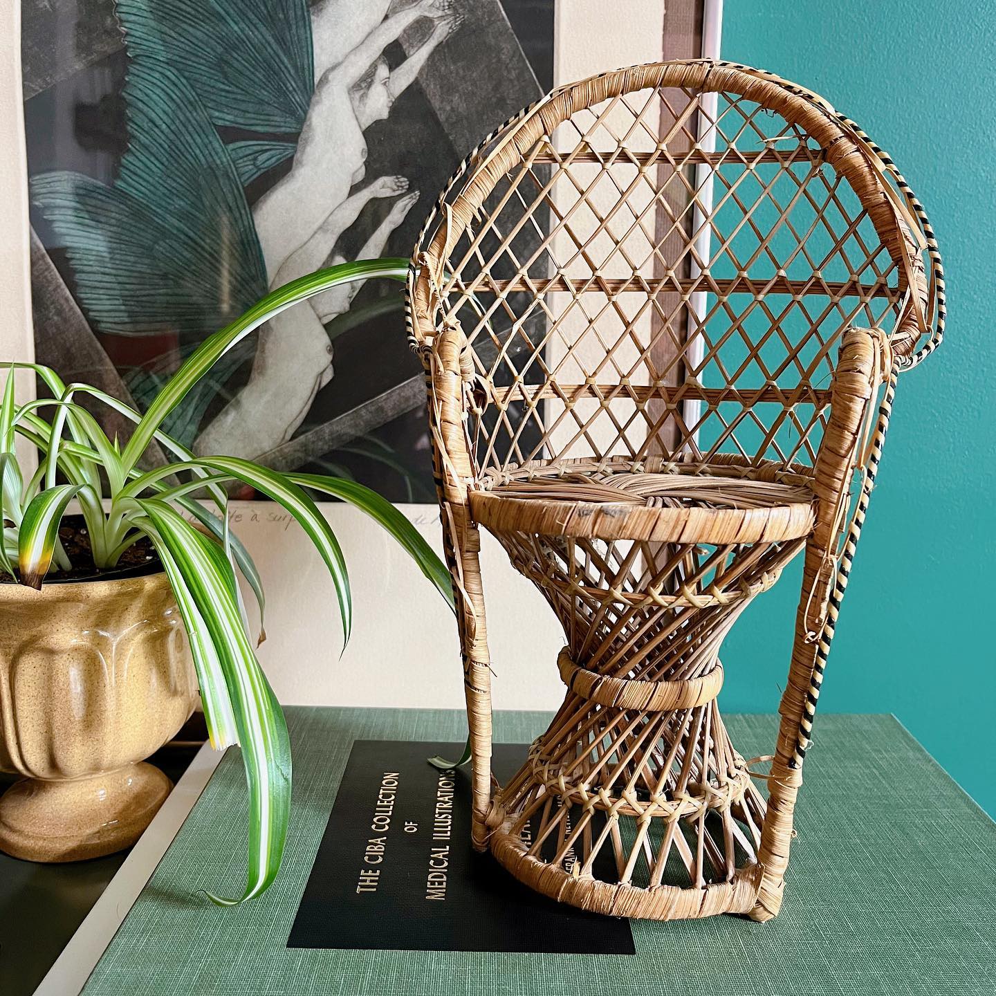 Mini rattan peacock chair - No Kill Vintage