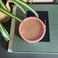 "Coasters by the pound" set of 6 pink coasters - No Kill Vintage