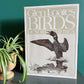 "Glen Loates Birds of North America" hardcover book (1979) - No Kill Vintage