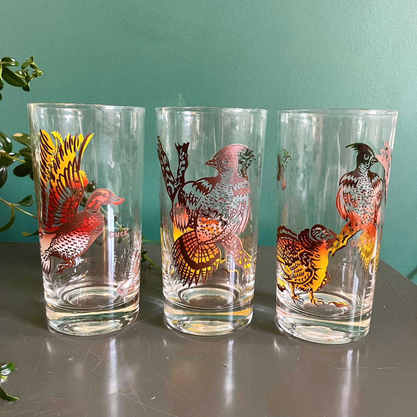 Set of 6 glass tumblers with colorful bird imagery