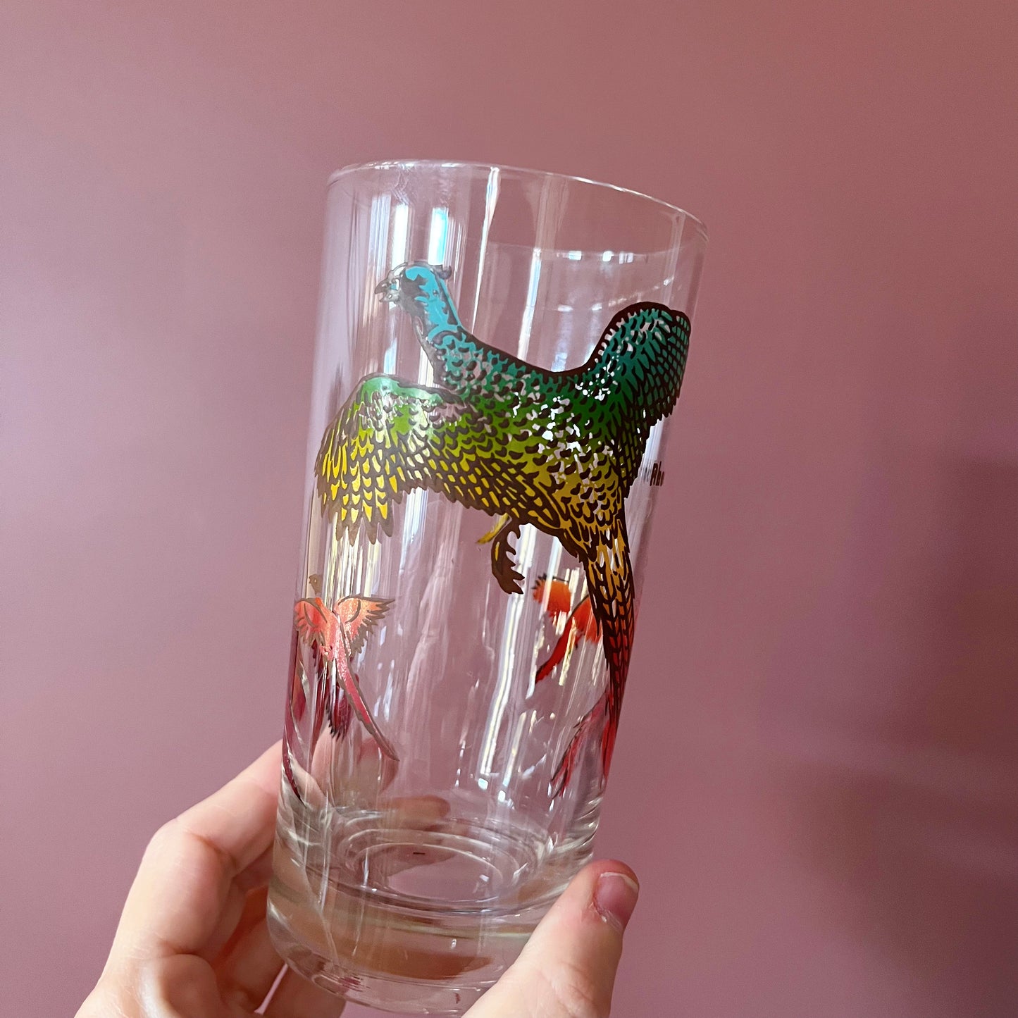 Set of 6 glass tumblers with colorful bird imagery