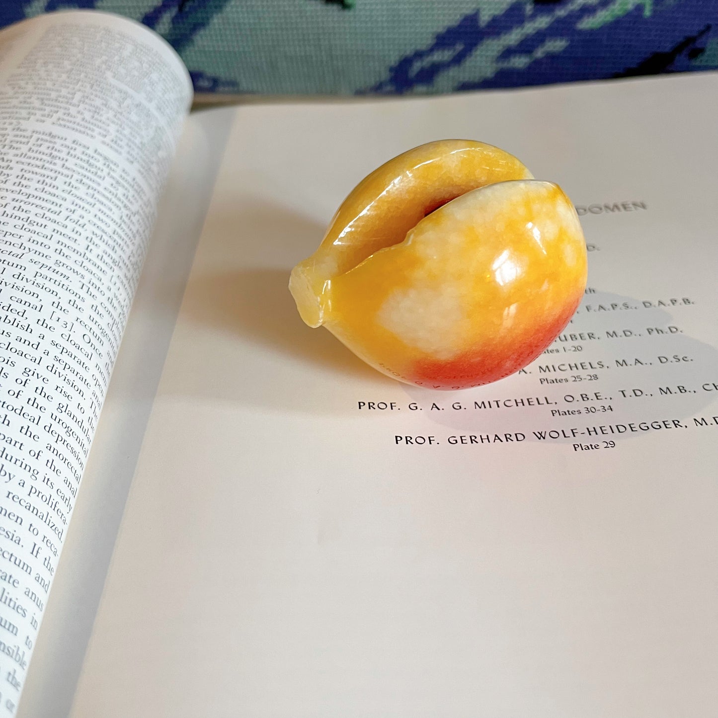 Peach carved stone fruit