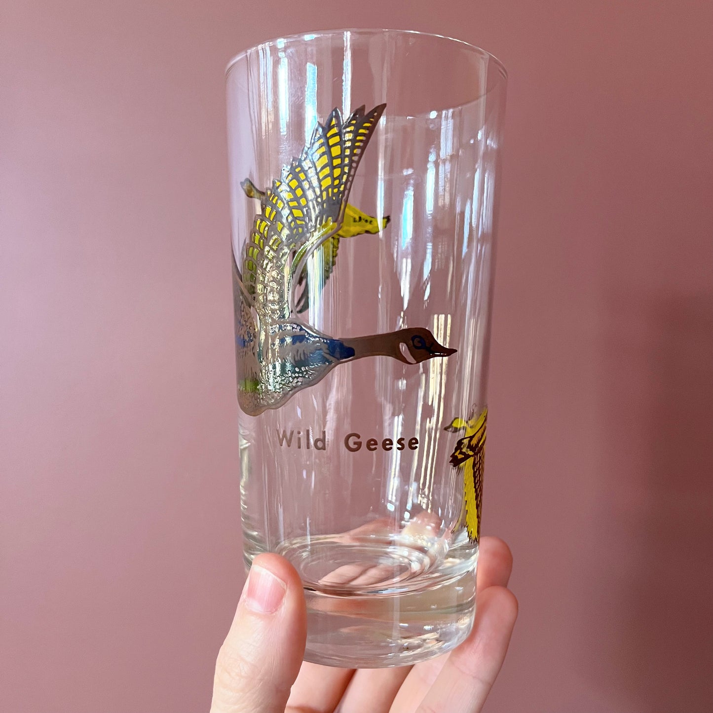 Set of 6 glass tumblers with colorful bird imagery