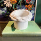 White ceramic flower plant pots