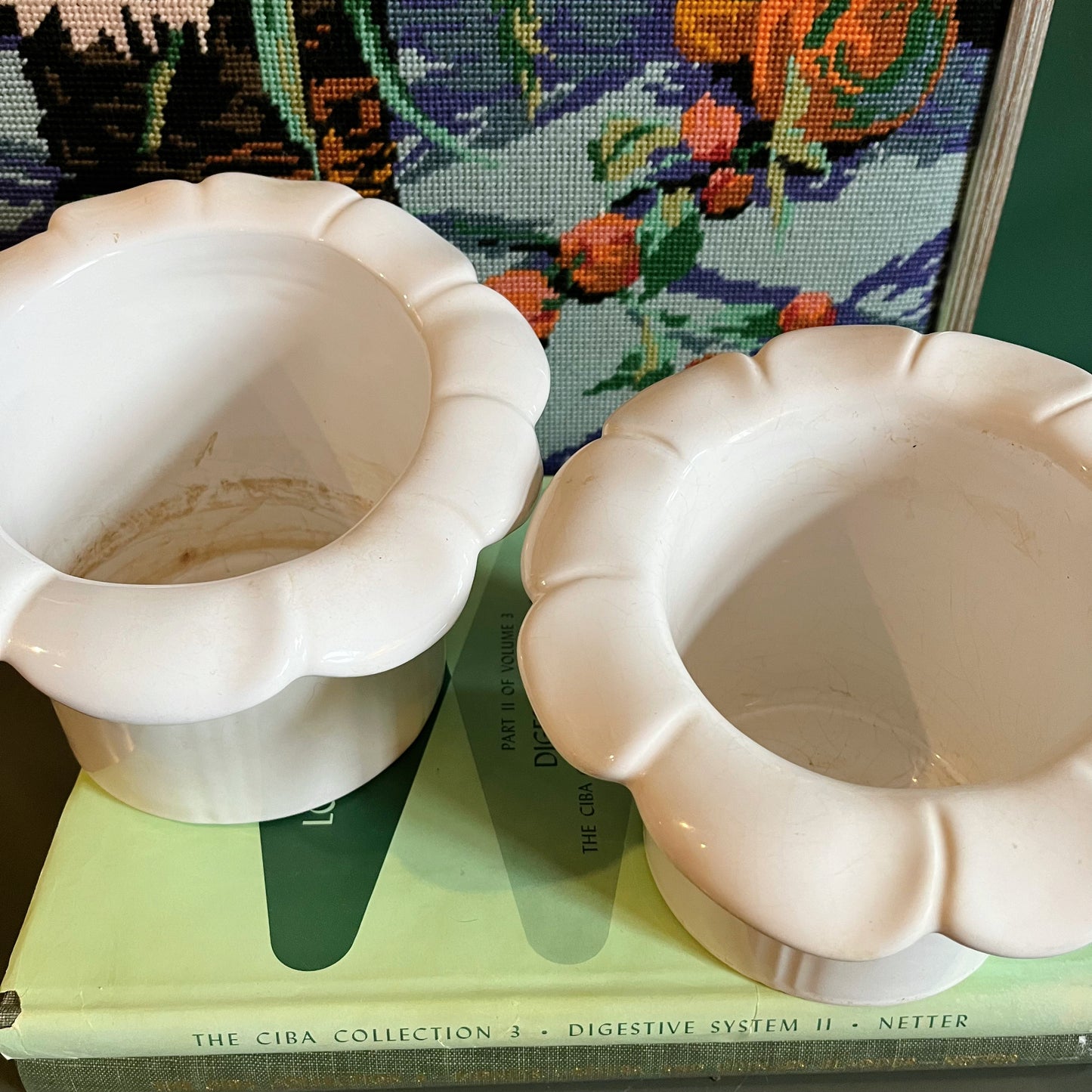 White ceramic flower plant pots