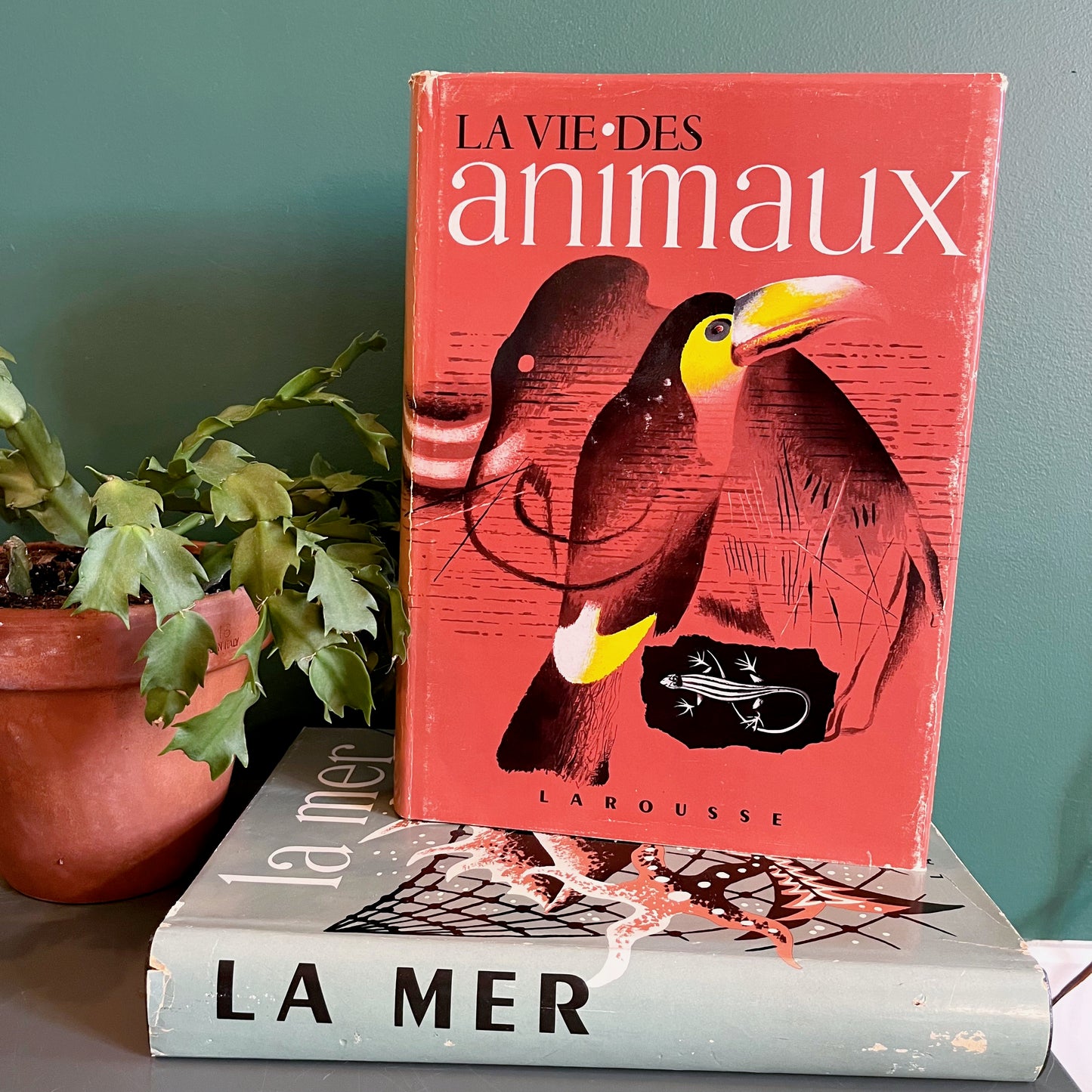 Encyclopédies Larousse des années 1950s